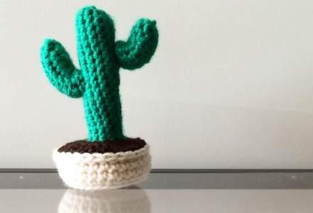 cactus met armen